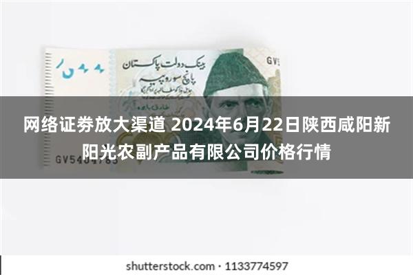 网络证劵放大渠道 2024年6月22日陕西咸阳新阳光农副产品有限公司价格行情