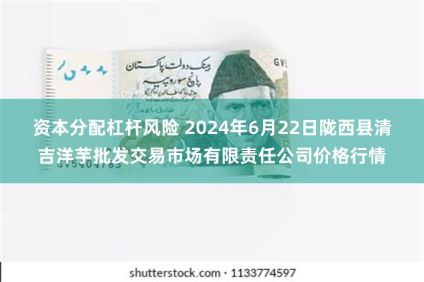 资本分配杠杆风险 2024年6月22日陇西县清吉洋芋批发交易市场有限责任公司价格行情